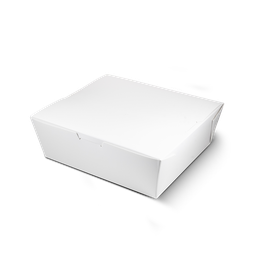 Extra Big box (No printed)